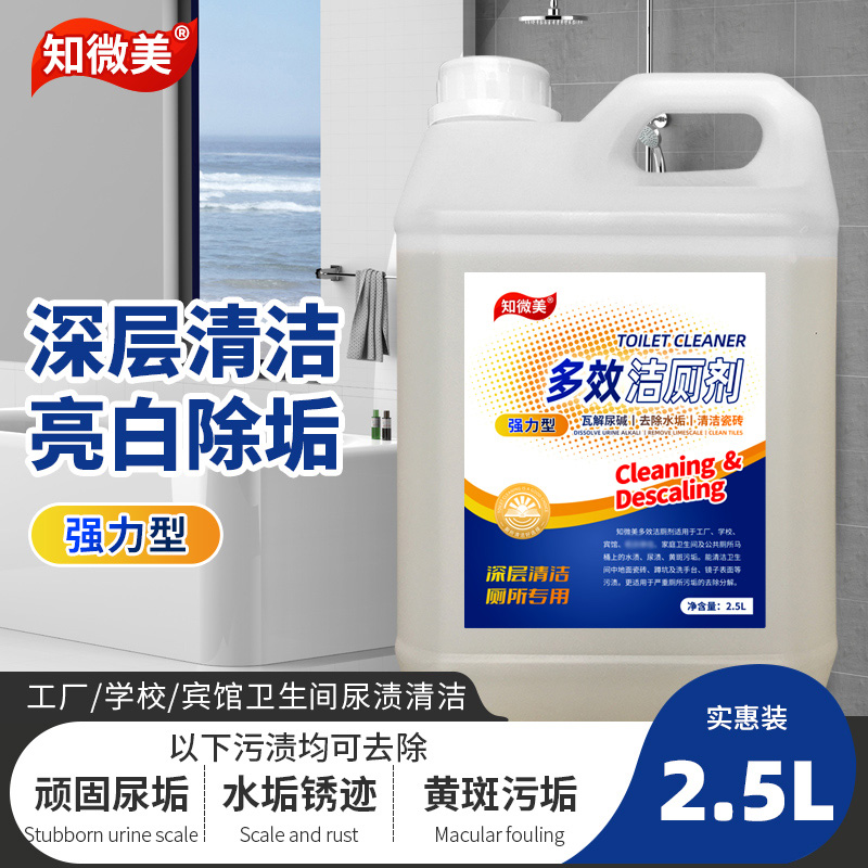 多效洁厕液 蓝标 2.5L