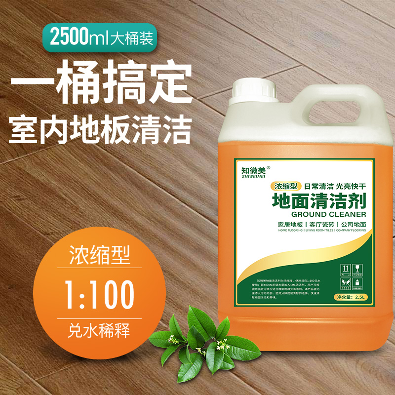 地面清洁剂 绿标 2.5L